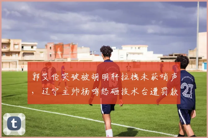 郭艾伦突破被胡明轩拉拽未获哨声，辽宁主帅杨鸣怒砸技术台遭罚款4万元